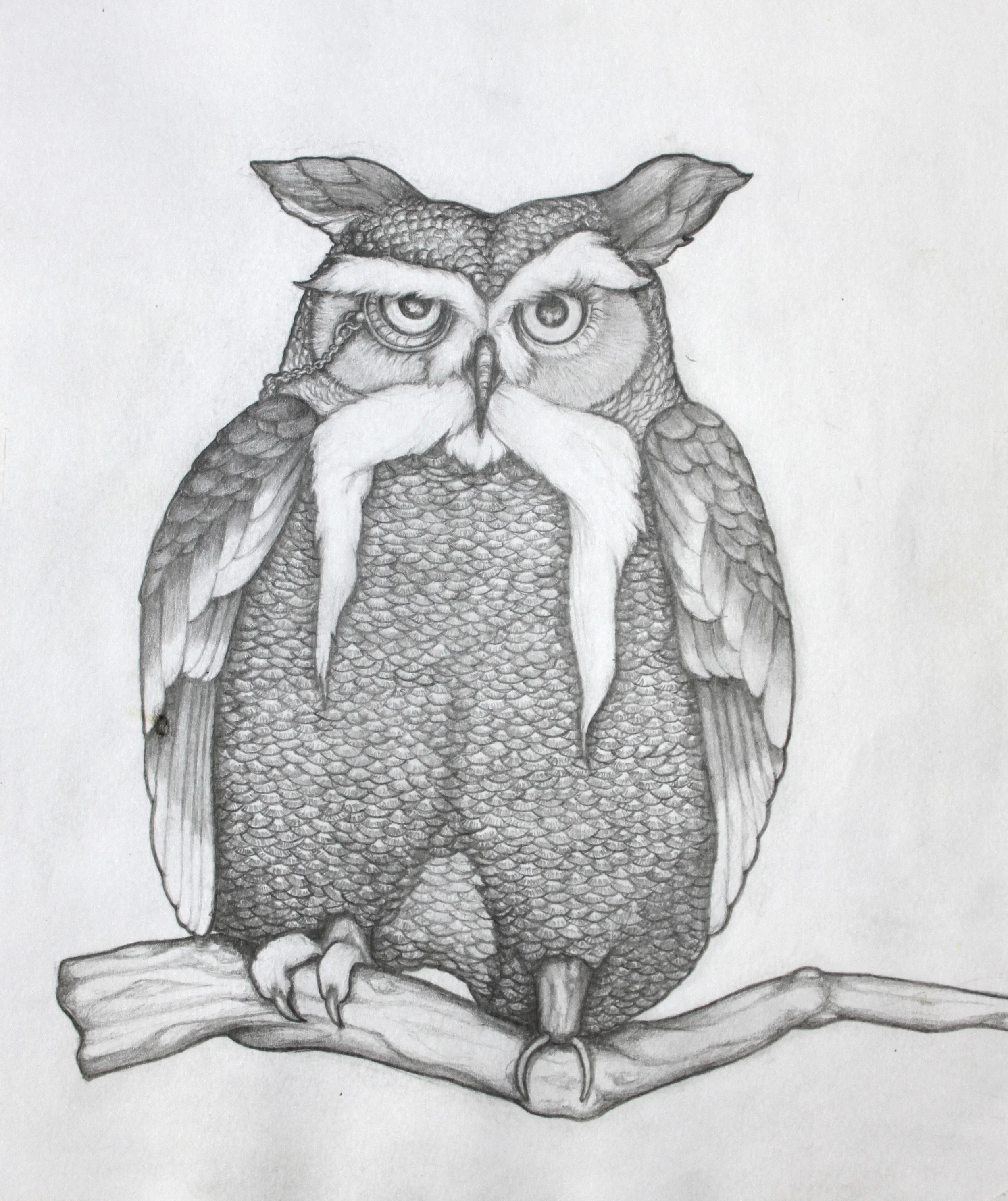 A Parliament of Owls (One)