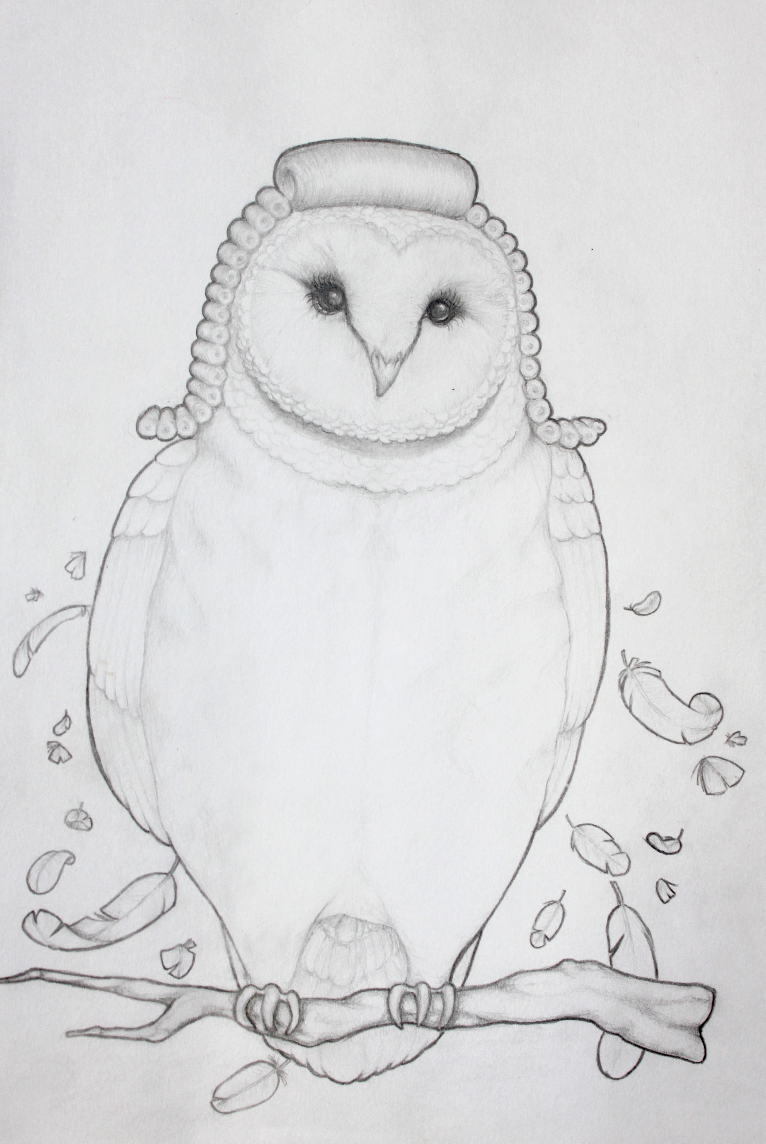 A Parliament of Owls 3.JPG