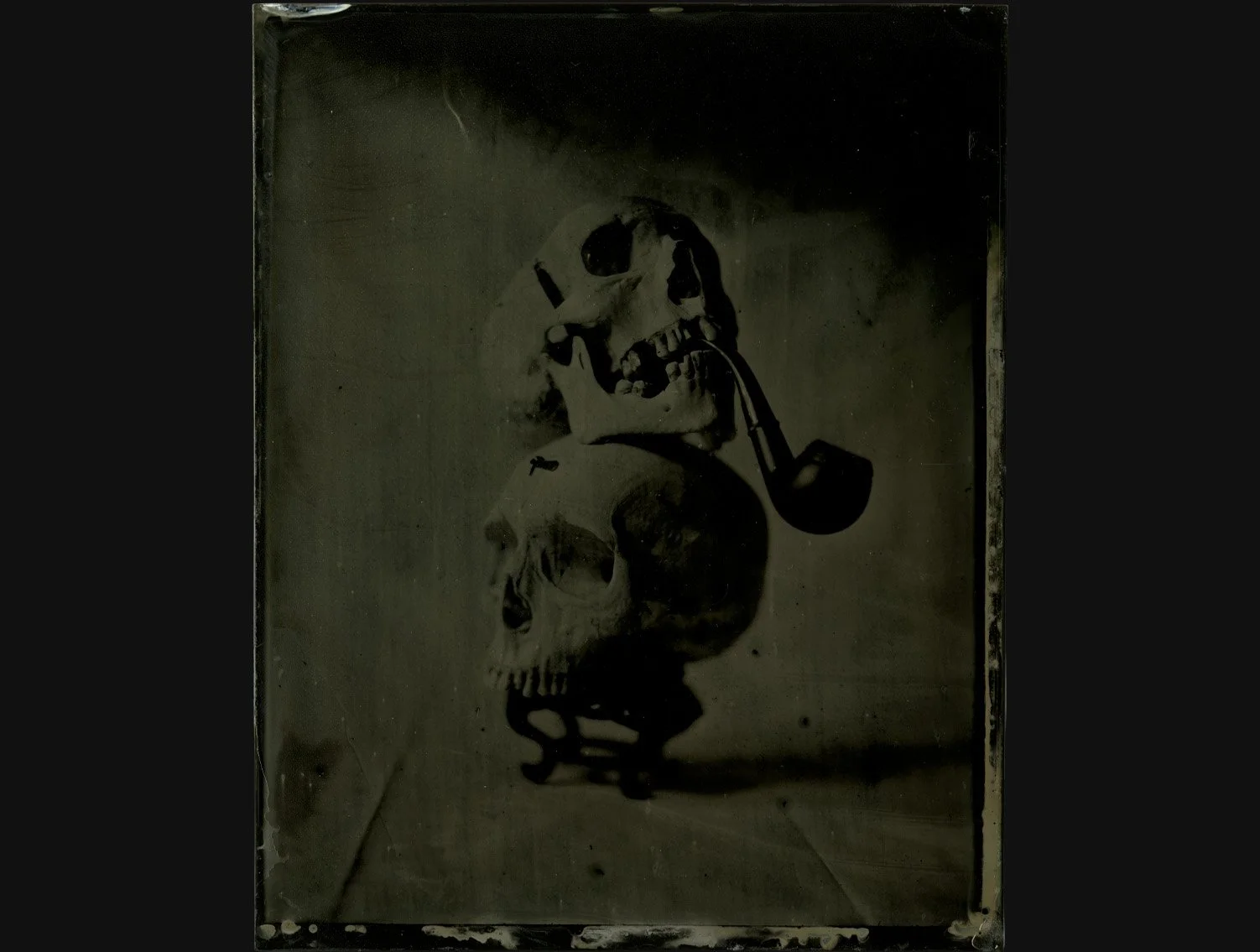 Still Life After Penn #2