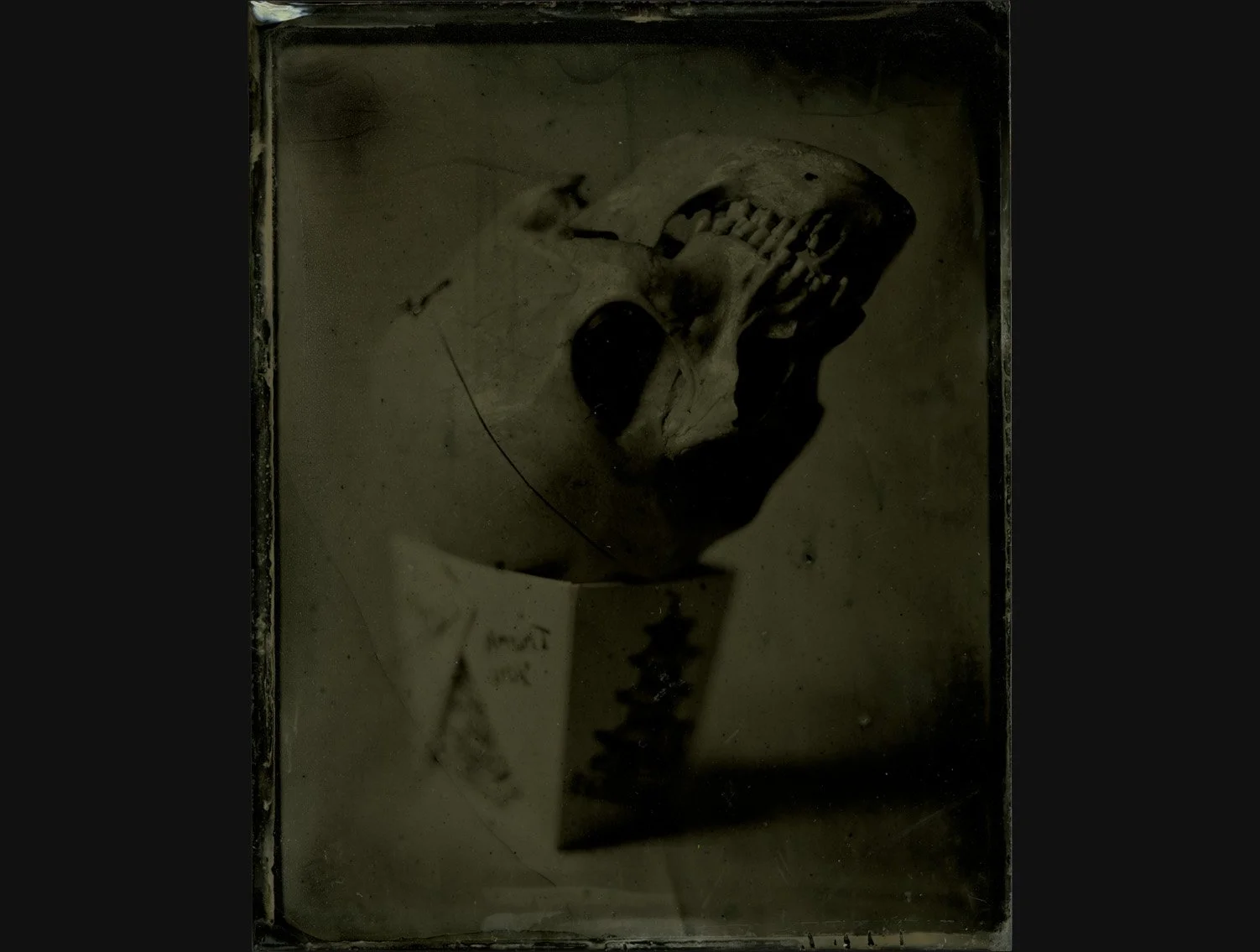 Still Life After Penn #4