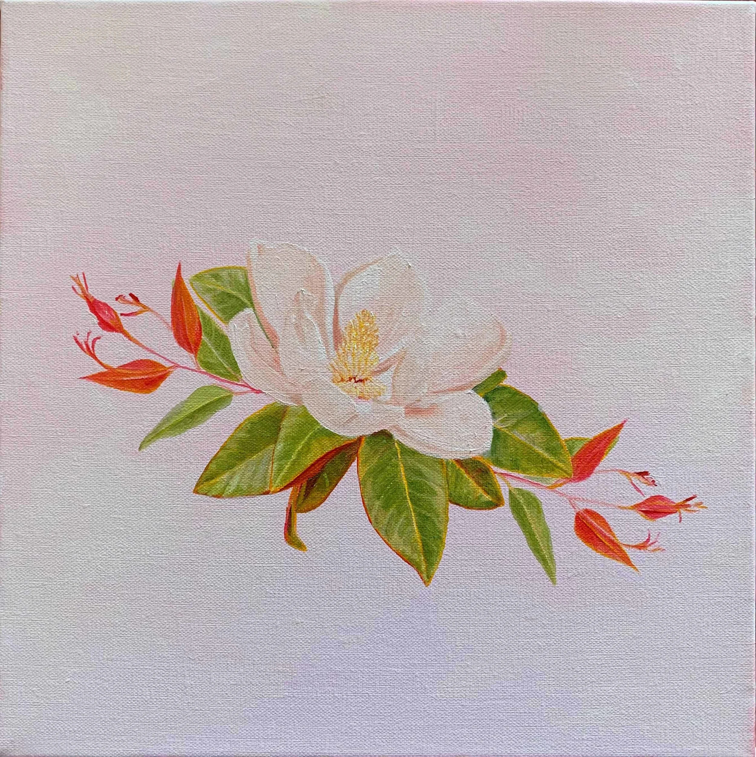 Southern Magnolia