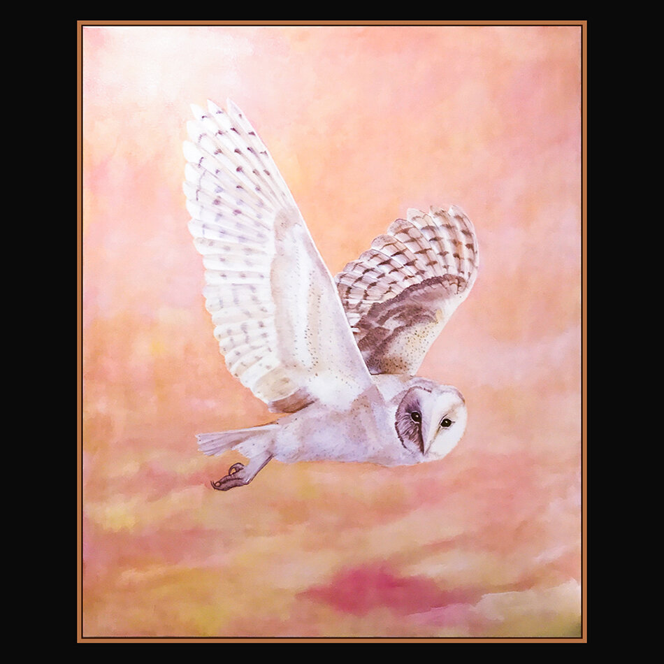 White Owl Web.jpg