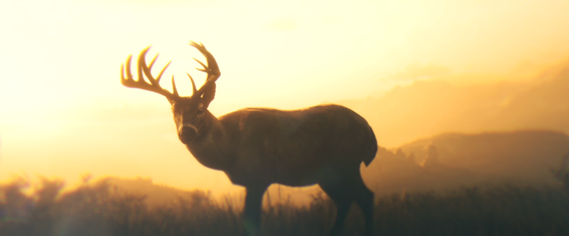 Red Dead Redemption 2_20181110181347.png
