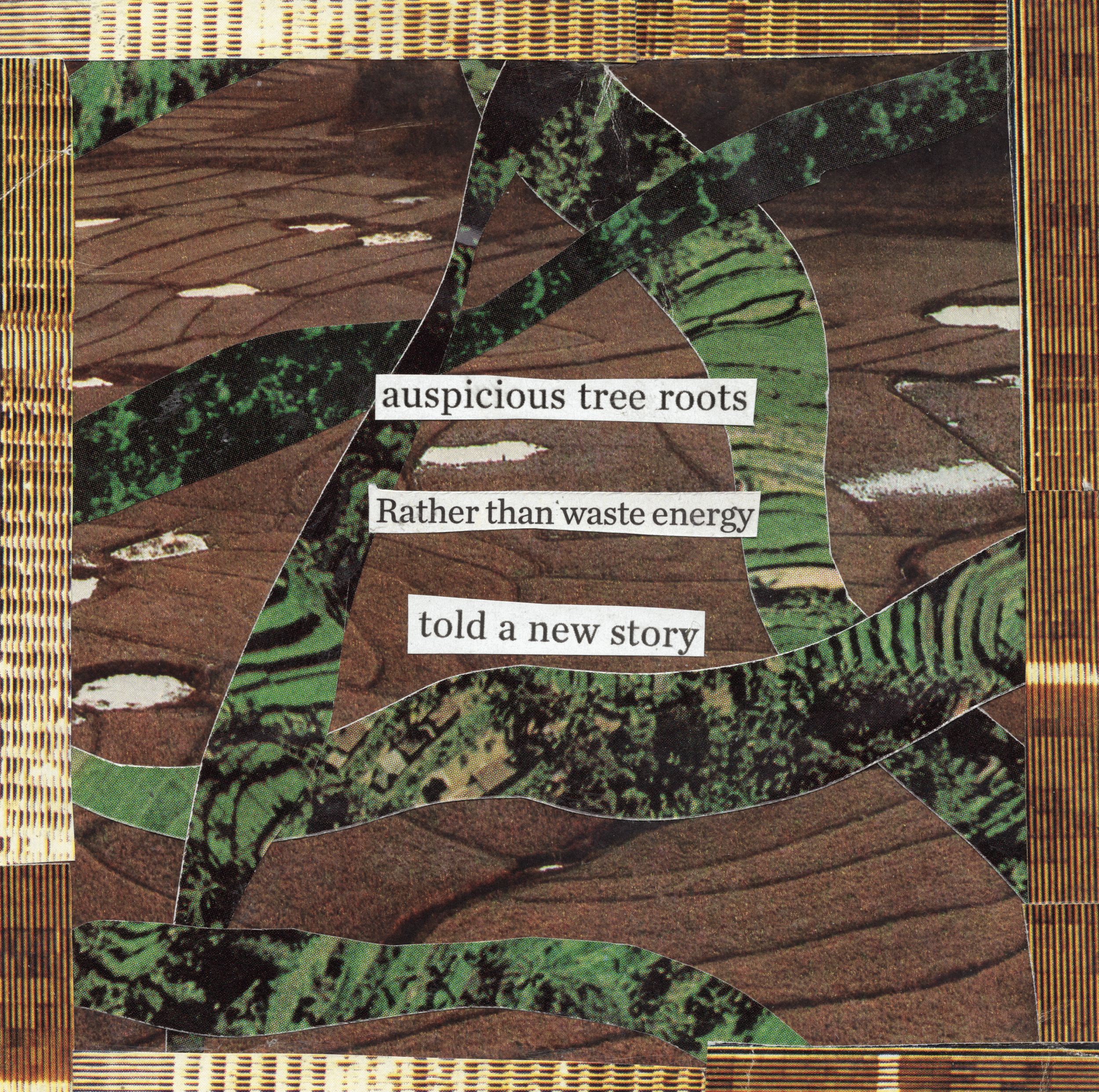 3 - five decades