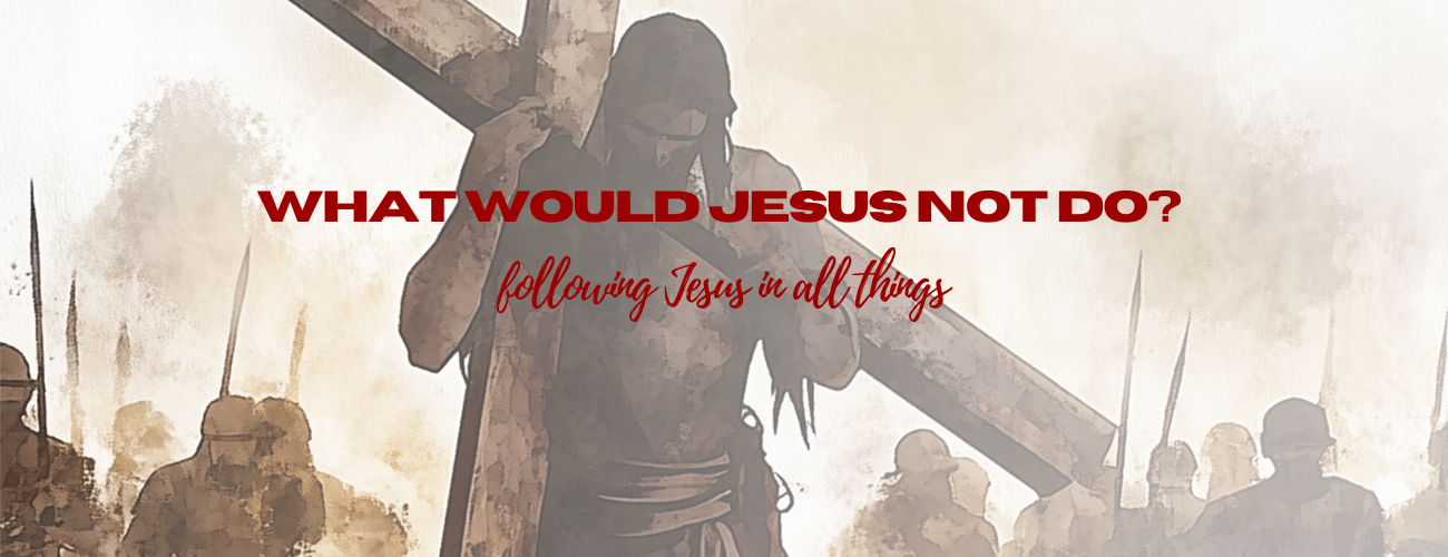 What Would Jesus NOT Do?: Following Jesus in All Things
