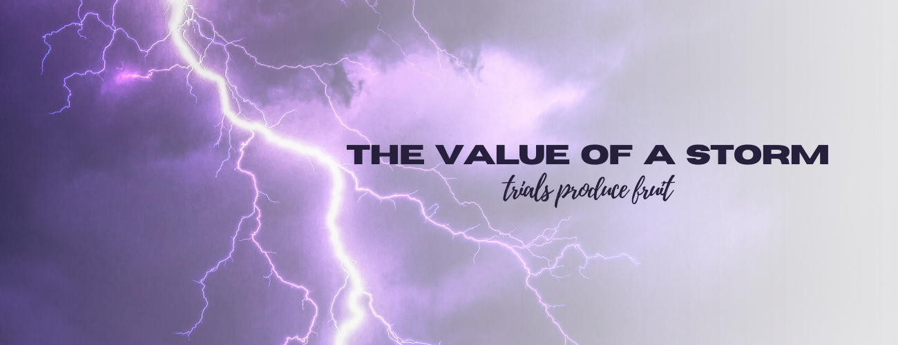 The Value of a Storm