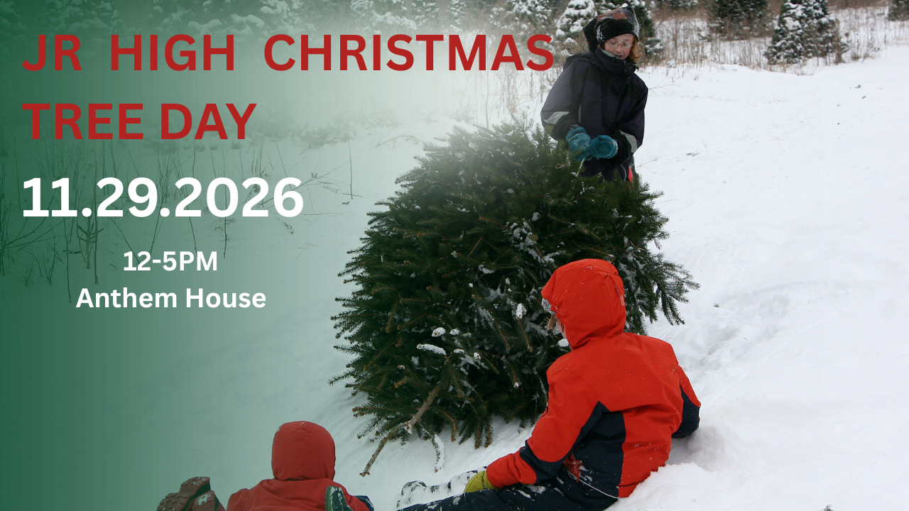 Jr. High Christmas Tree Day
