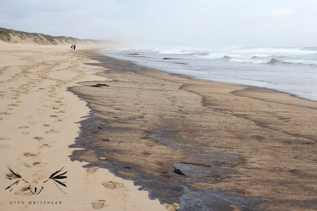 Oil spill in Goukamma Nature Reserve