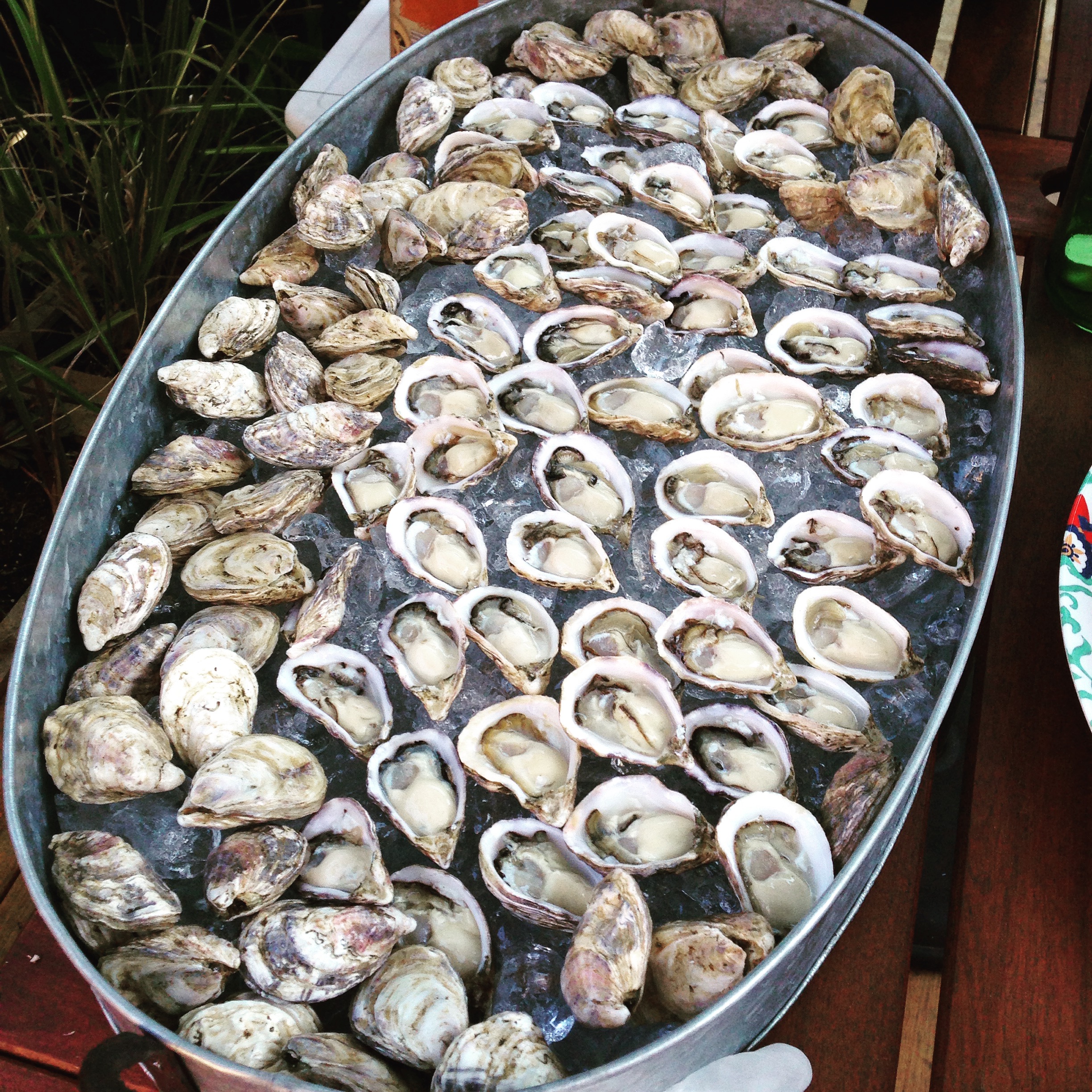 Fresh Shucked BC Kusshi Oysters