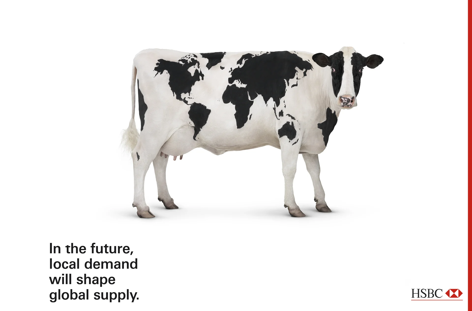 World Cow.