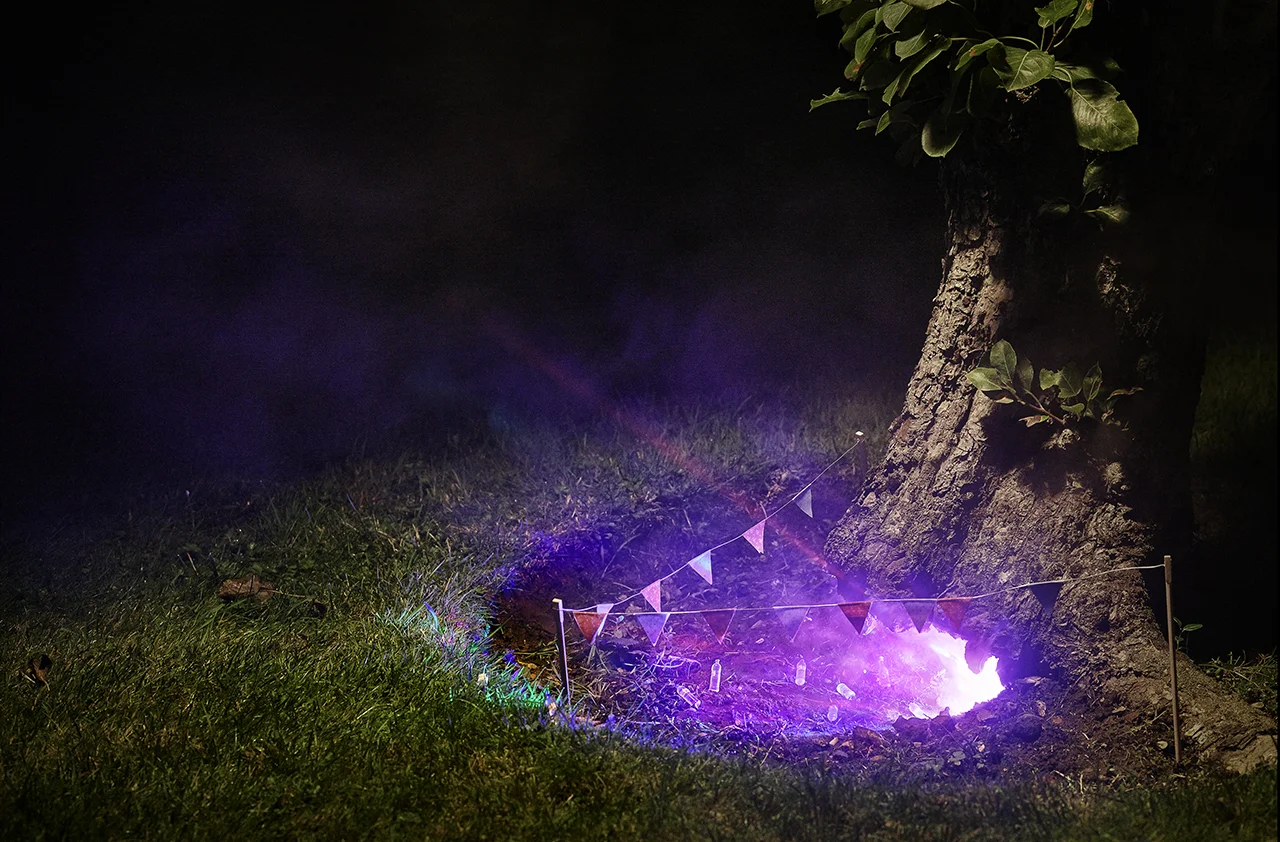 Pixie Rave