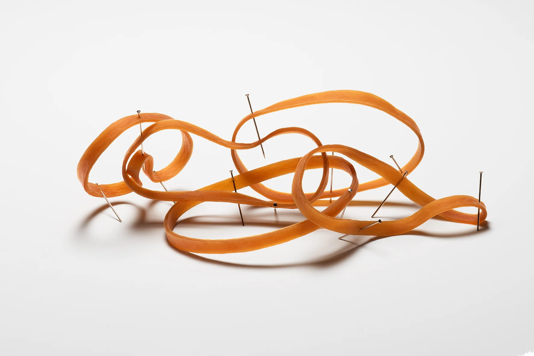 elastic roller coaster progress.jpg