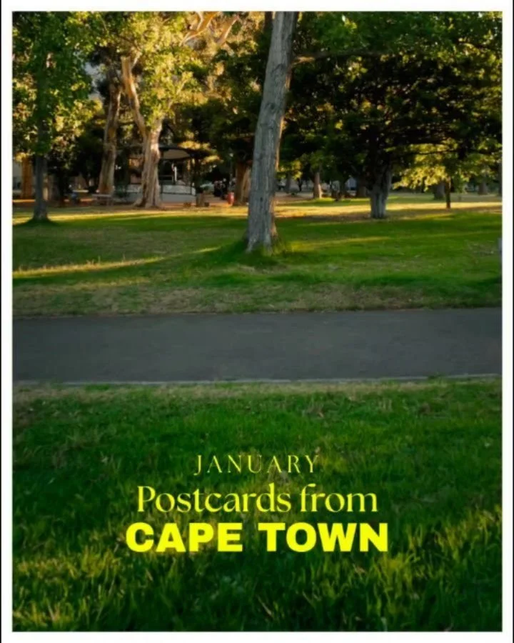 Just over the road from the beautiful oasis of De Waal Park in Cape Town (one the best and most beautiful animal friendly parks in the city and where some of these moments were filmed) lies the Molteno Reservoir which most people I know in the area t