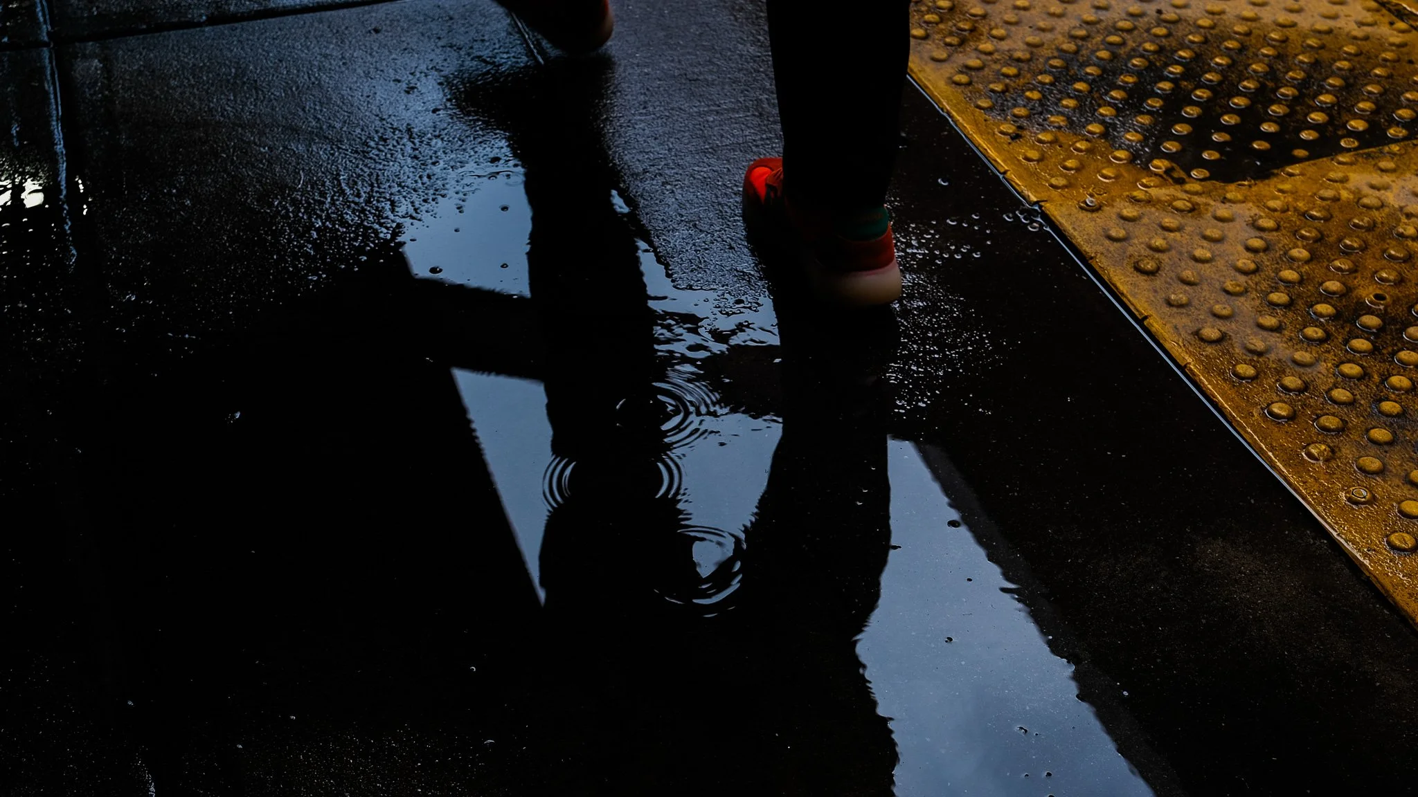 DSCF7551.jpg