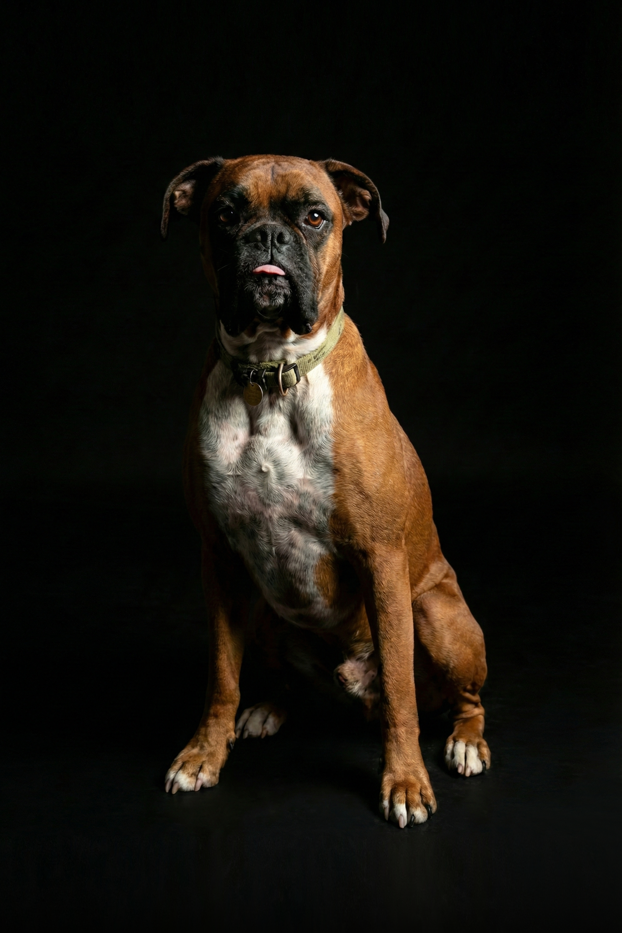 faf-black-bg.png