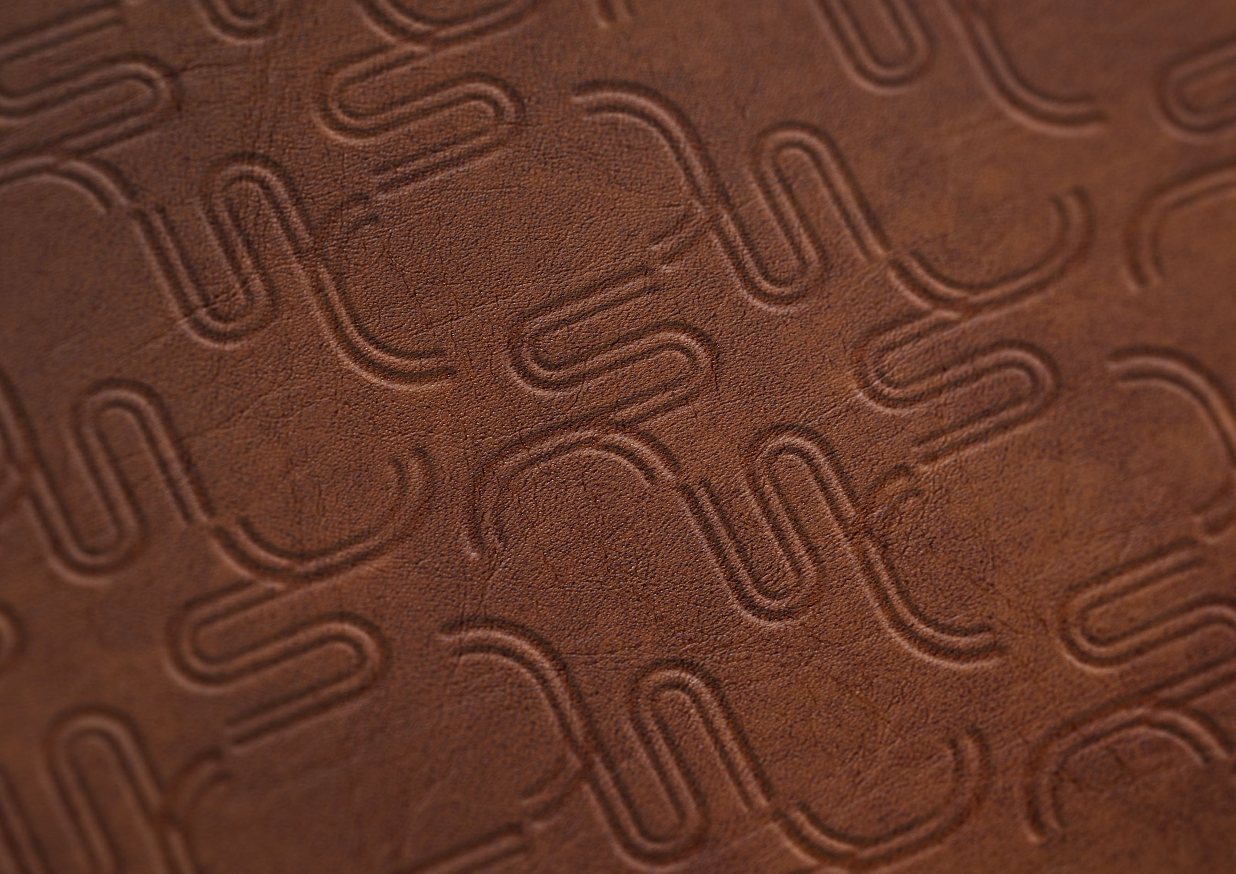 Logomark Monogram Angled.jpg