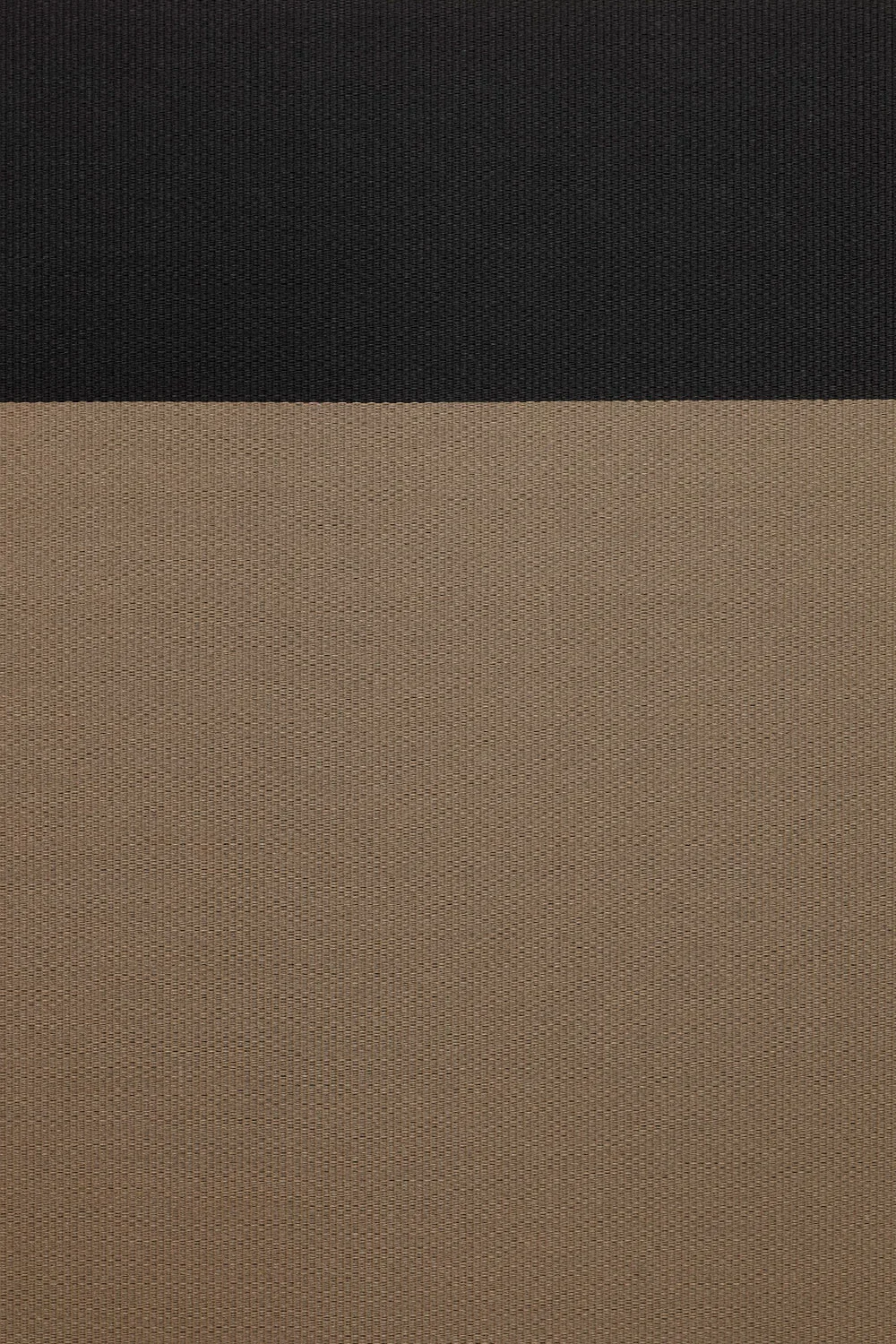 Beach 1383209 nutria-black