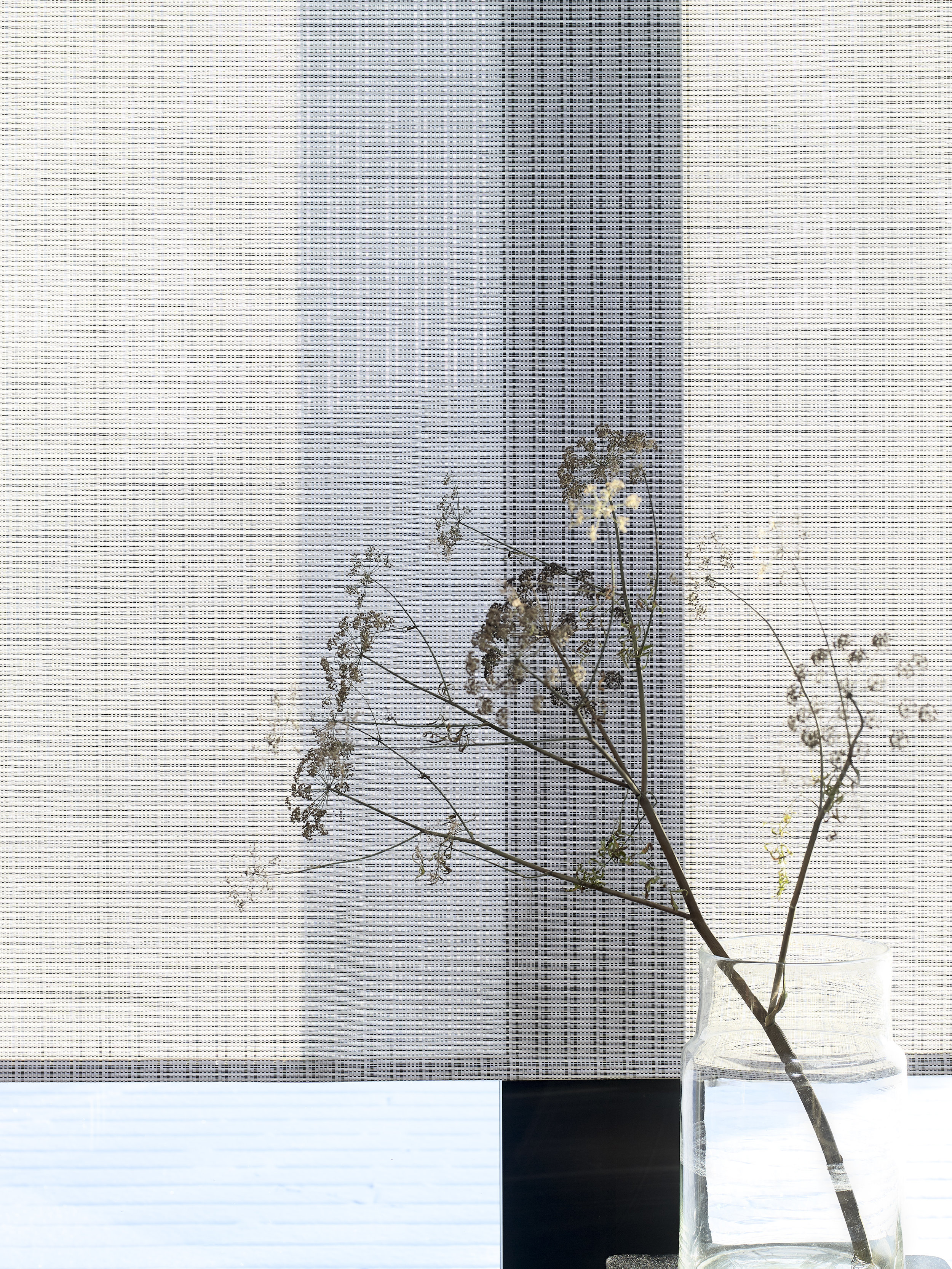 Roller blind with chain / Cloud fabric 2140915 black-stone