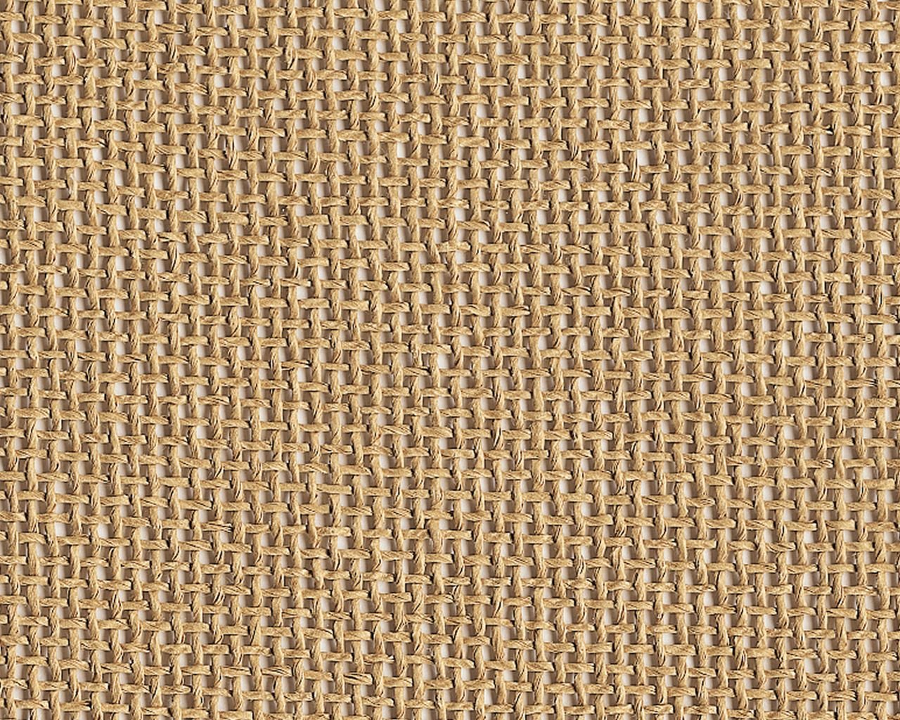 Woven paper yarn fabric Plain col. natural