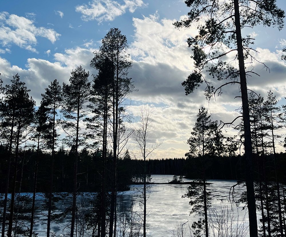 Early Spring