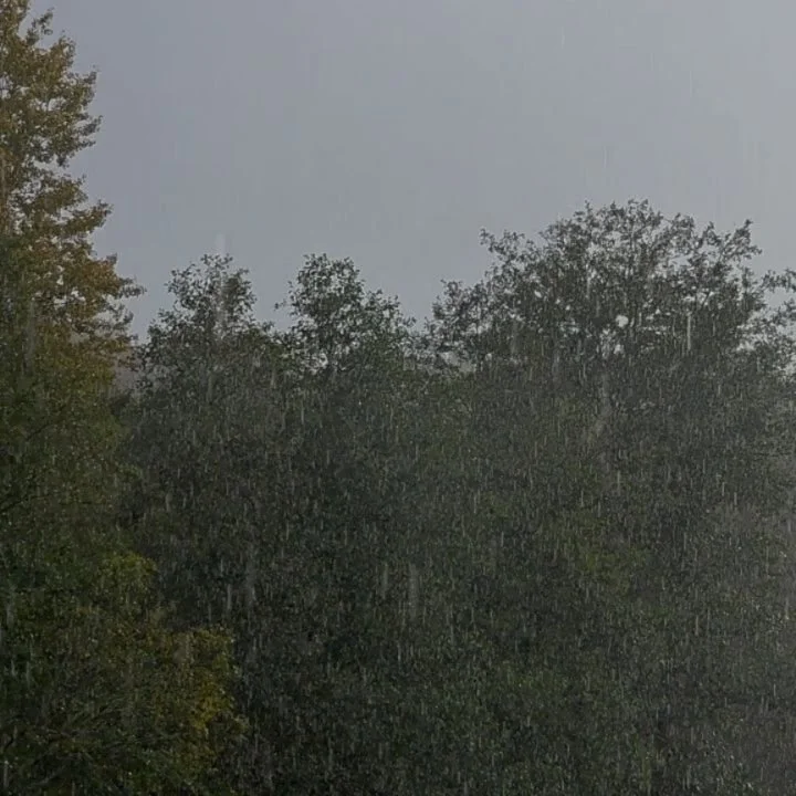 Open Sky, design Ritva Puotila; paper yarn and cotton, woven to breathe. It lets the light in&mdash;soft, diffused&mdash;but veils the view when rain falls and you&rsquo;d rather not follow. 
A quiet companion for introspective afternoons and slow, s