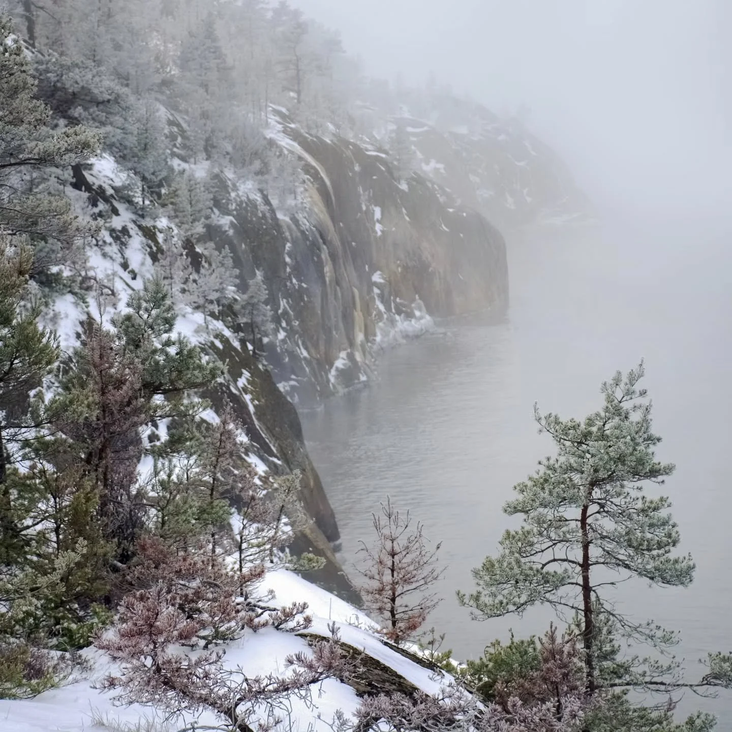 The holiday season offers a precious opportunity for a gentle pause&mdash;a moment to reflect on nature&rsquo;s quiet wisdom, much like Ralph Waldo Emerson&rsquo;s poem "Woodnotes", where the forest speaks of harmony, resilience, and renewa