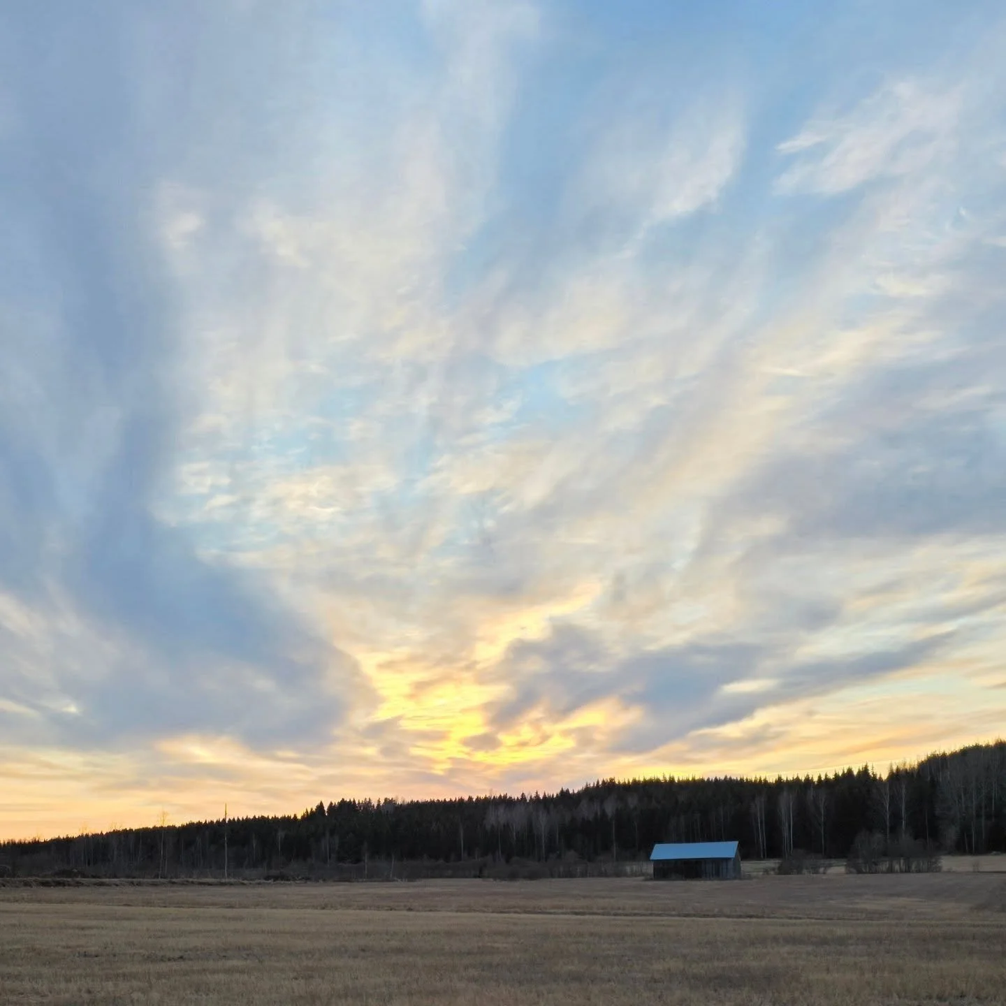 Nordic spring colours; Coast paper yarn rug by Ritva Puotila and k chair by Harri Koskinen.
.
#inspiredbytheruggedfinnishnature #paperyarndesign #ritvapuotila #harrikoskinen #woodnotes
