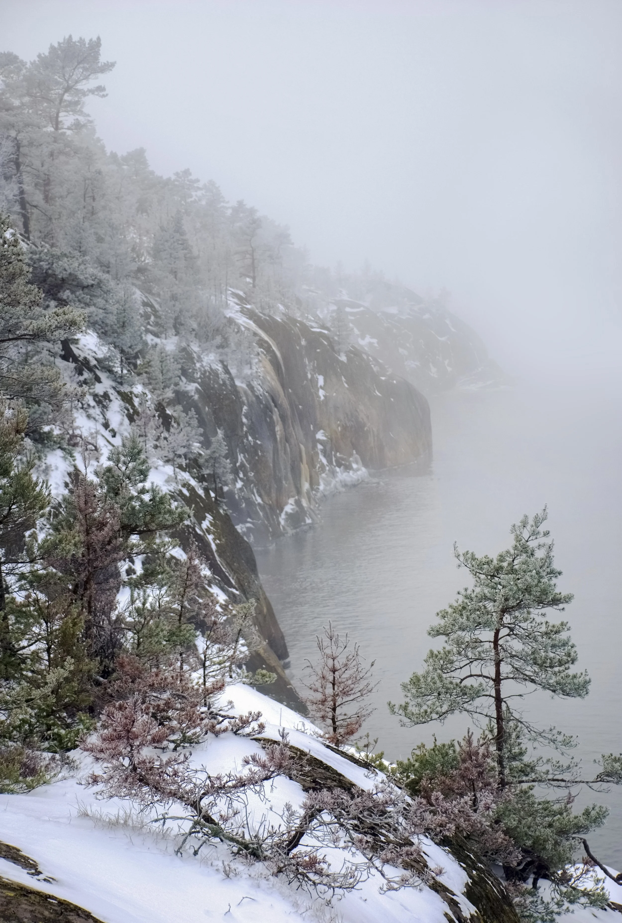 Woodnotes_Colours of Water_snow and ice