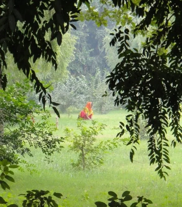 Girl ‘ hiding’