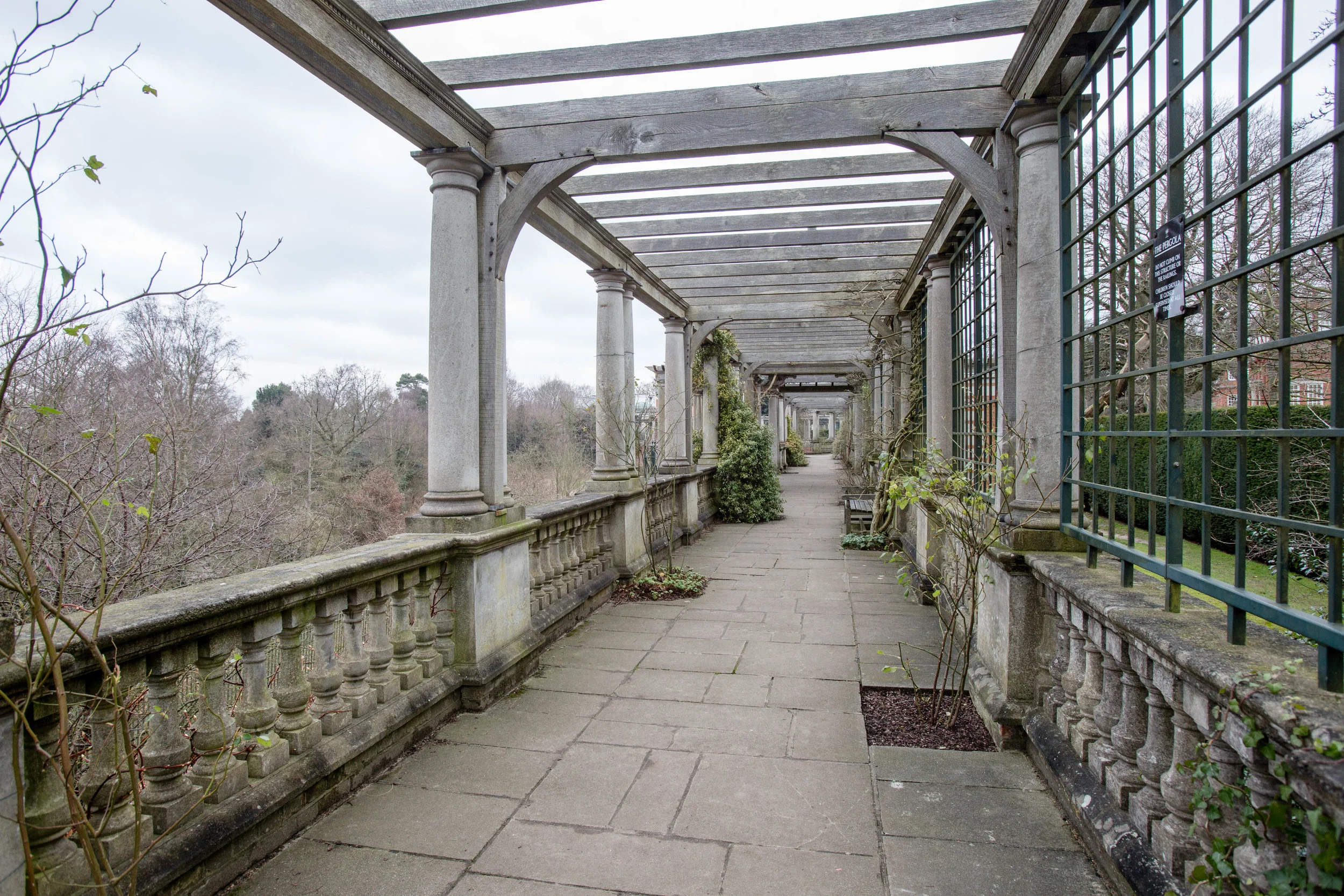 pergola hill garden dianavonr hampsteadmums