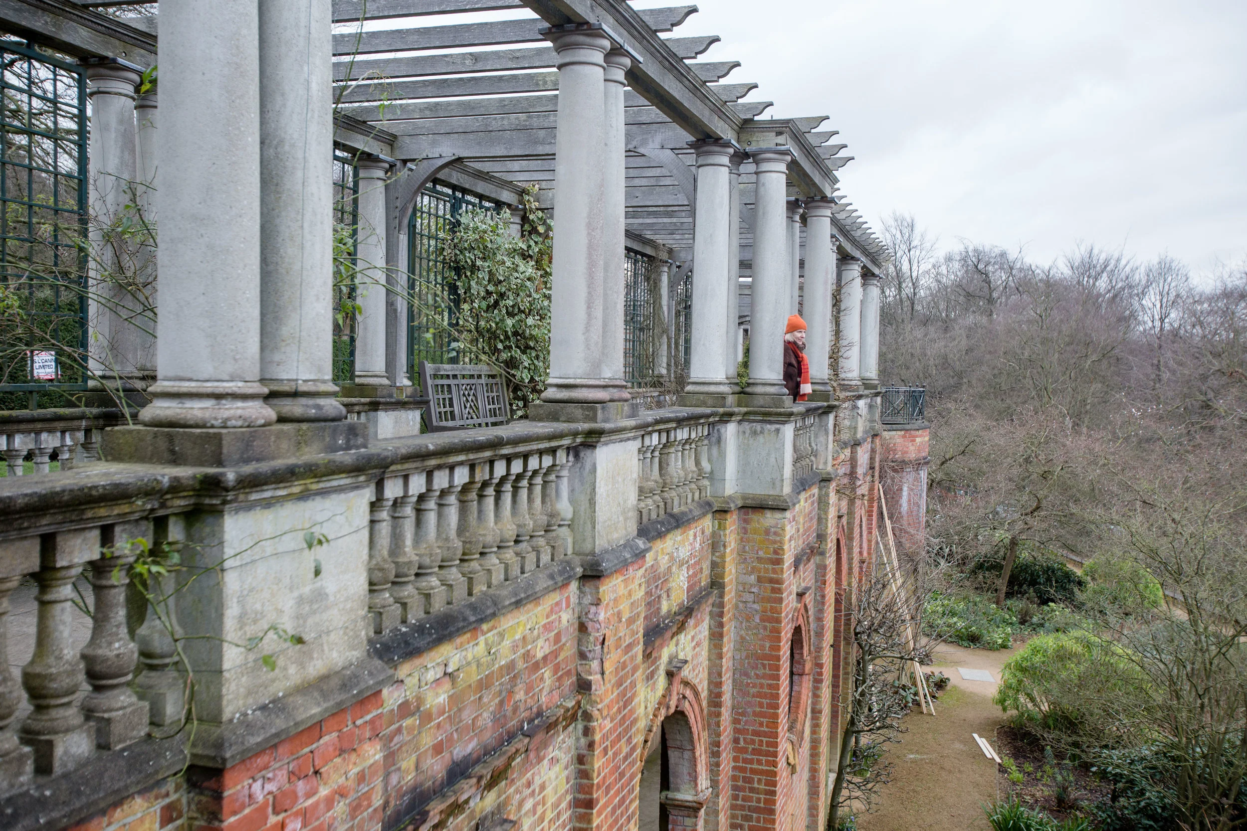 pergola hill garden dianavonr hampsteadmums