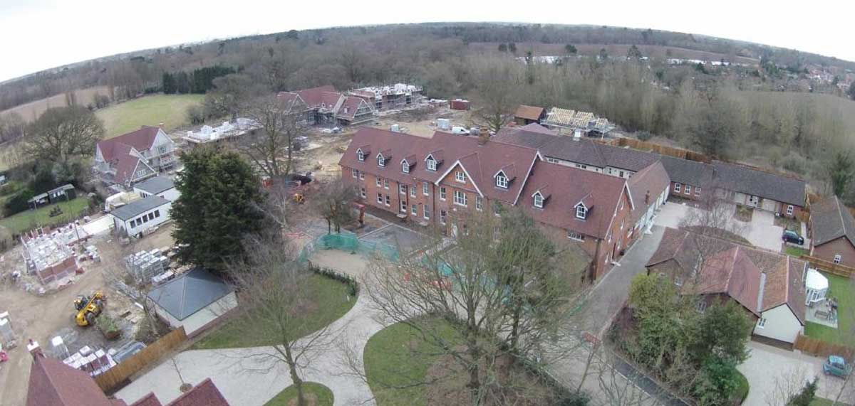 amberfield.8.jpg
