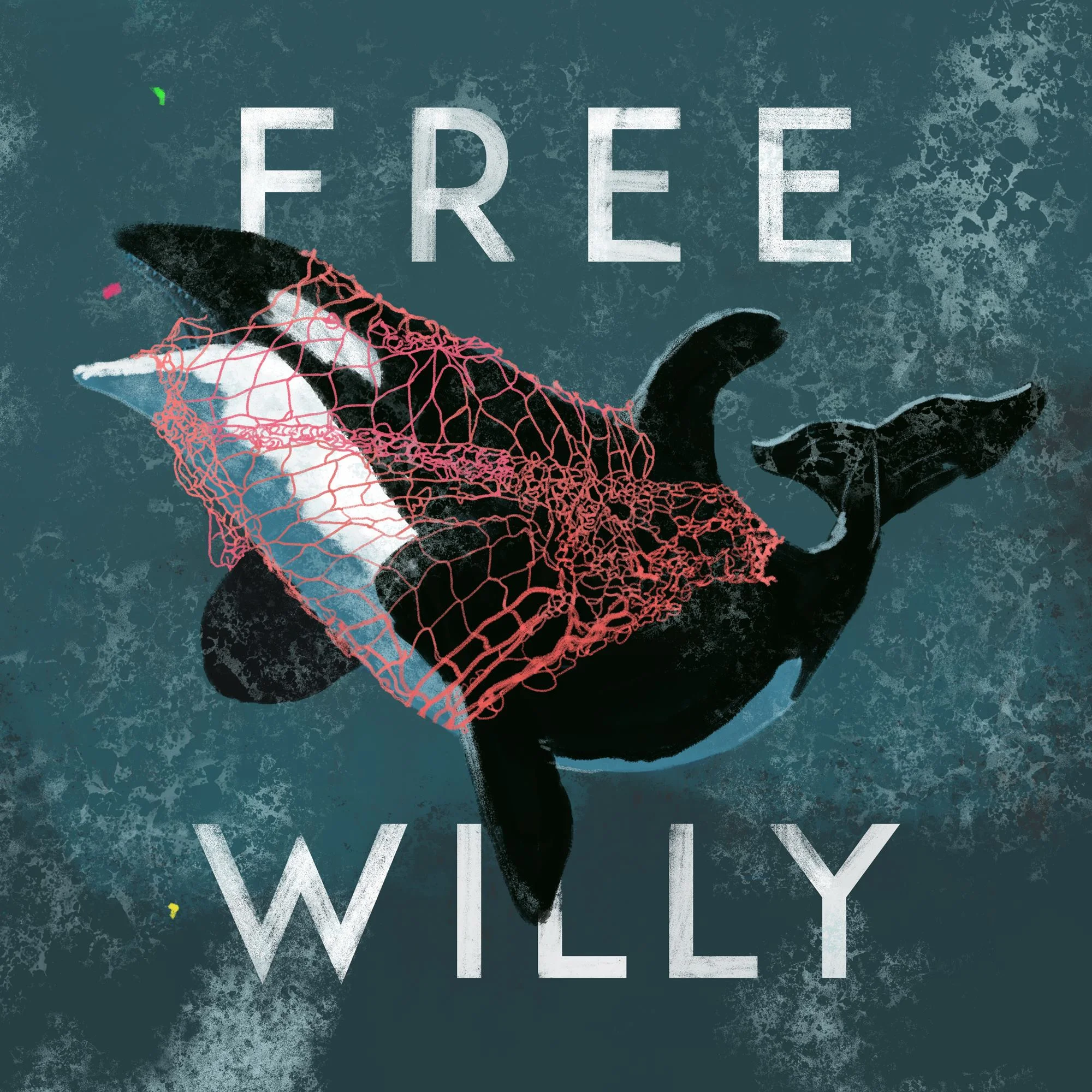 An anti plastic pollution campaign for Nice and Serious . Pt. 3