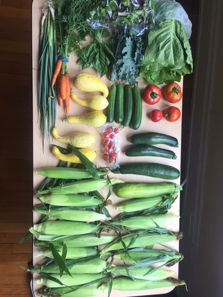 Single Week CSA Bag