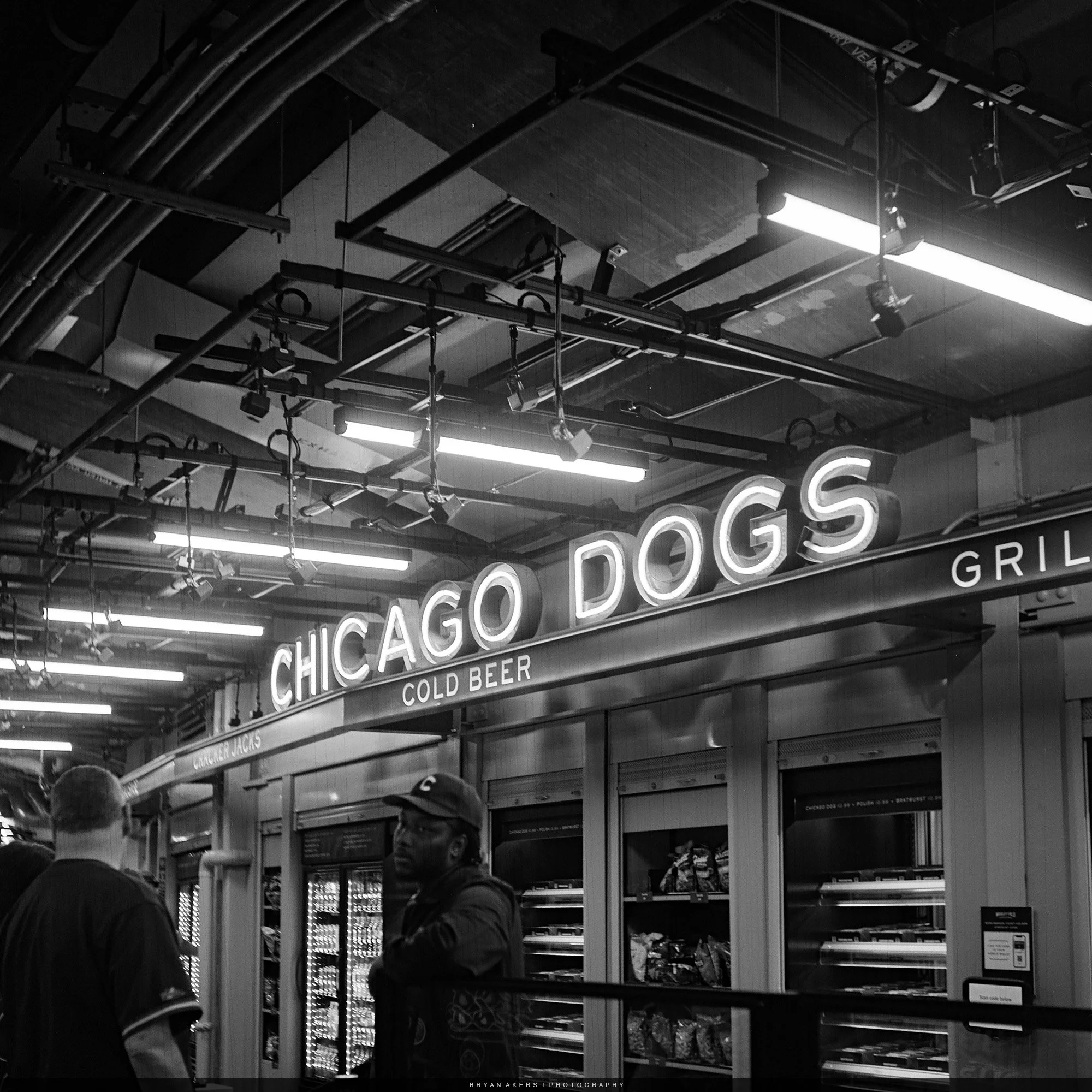 Chicago Cubs at Wrigley Field, 2025