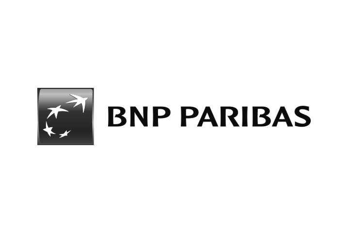 logo_bnp.png