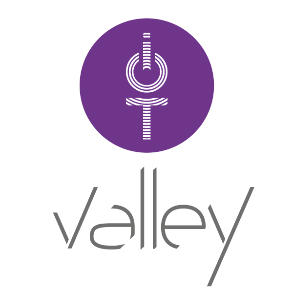 logo_iot valley_gris (1).png