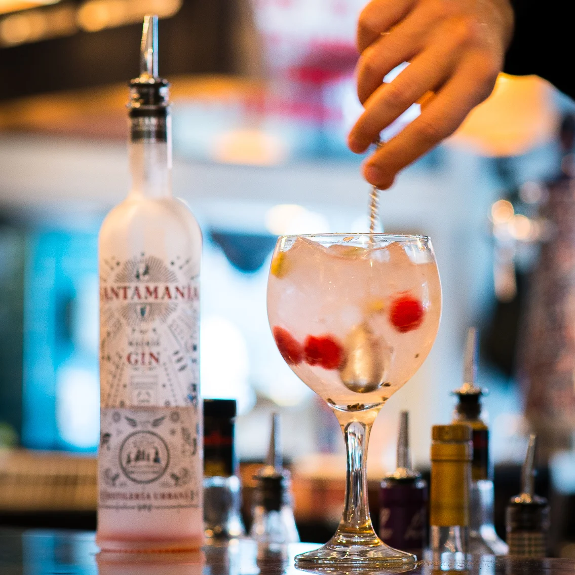 Santamania-Gin-Tonic.jpg