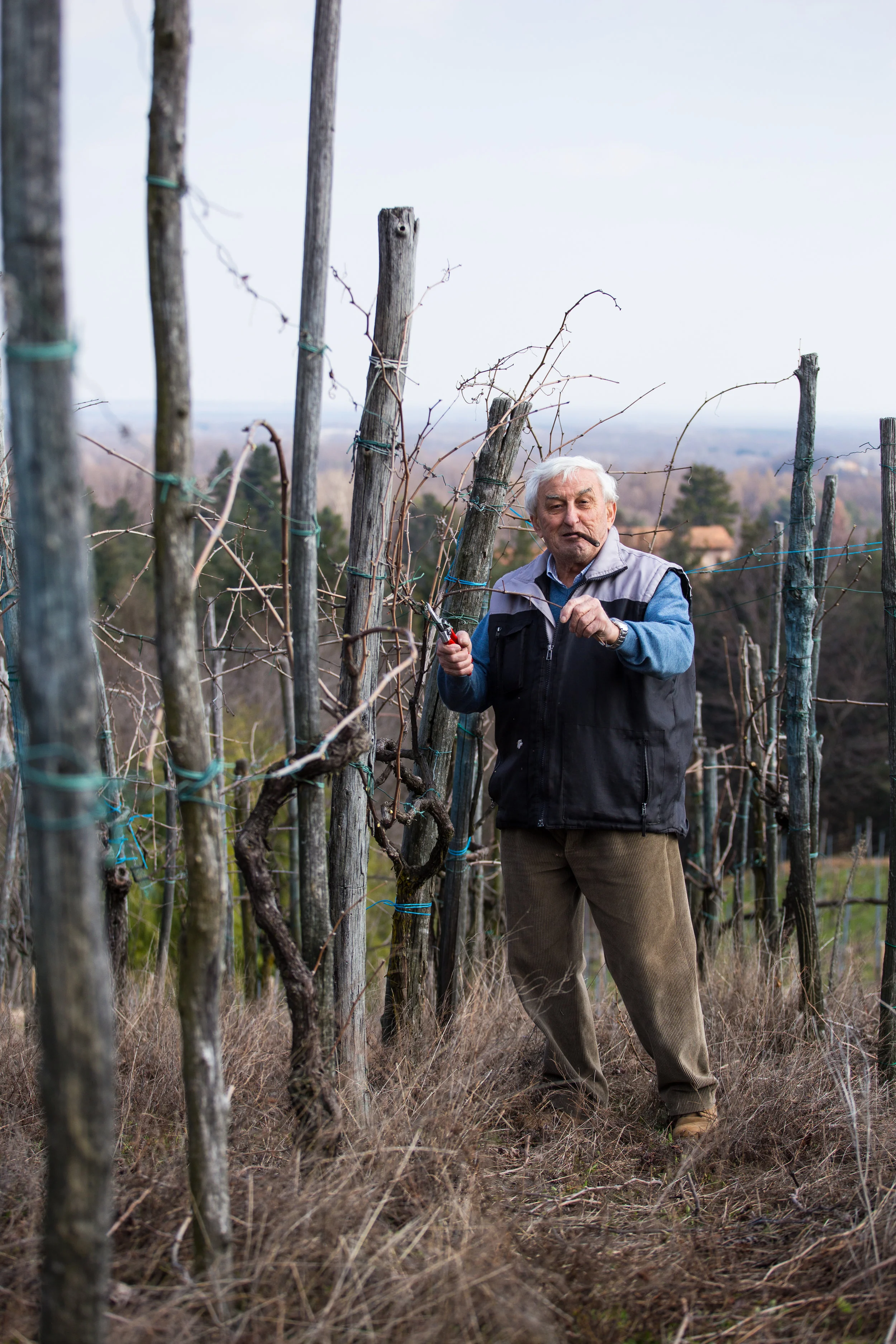 vinsmaking-006.jpg