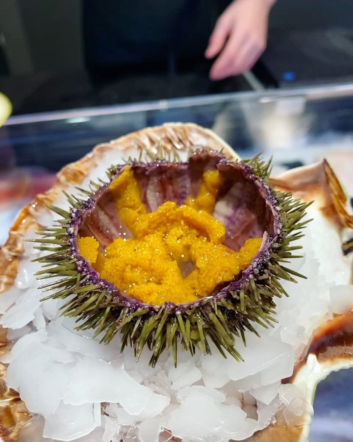 Get your sea food fix at @annisoslobukta.as! I&rsquo;m getting the sea urchin..

We have other good fish mongers in Oslo, but @johansigmundstad does it with an extra level of curiosity, dedication and energy. With no formal qualifications but a passi