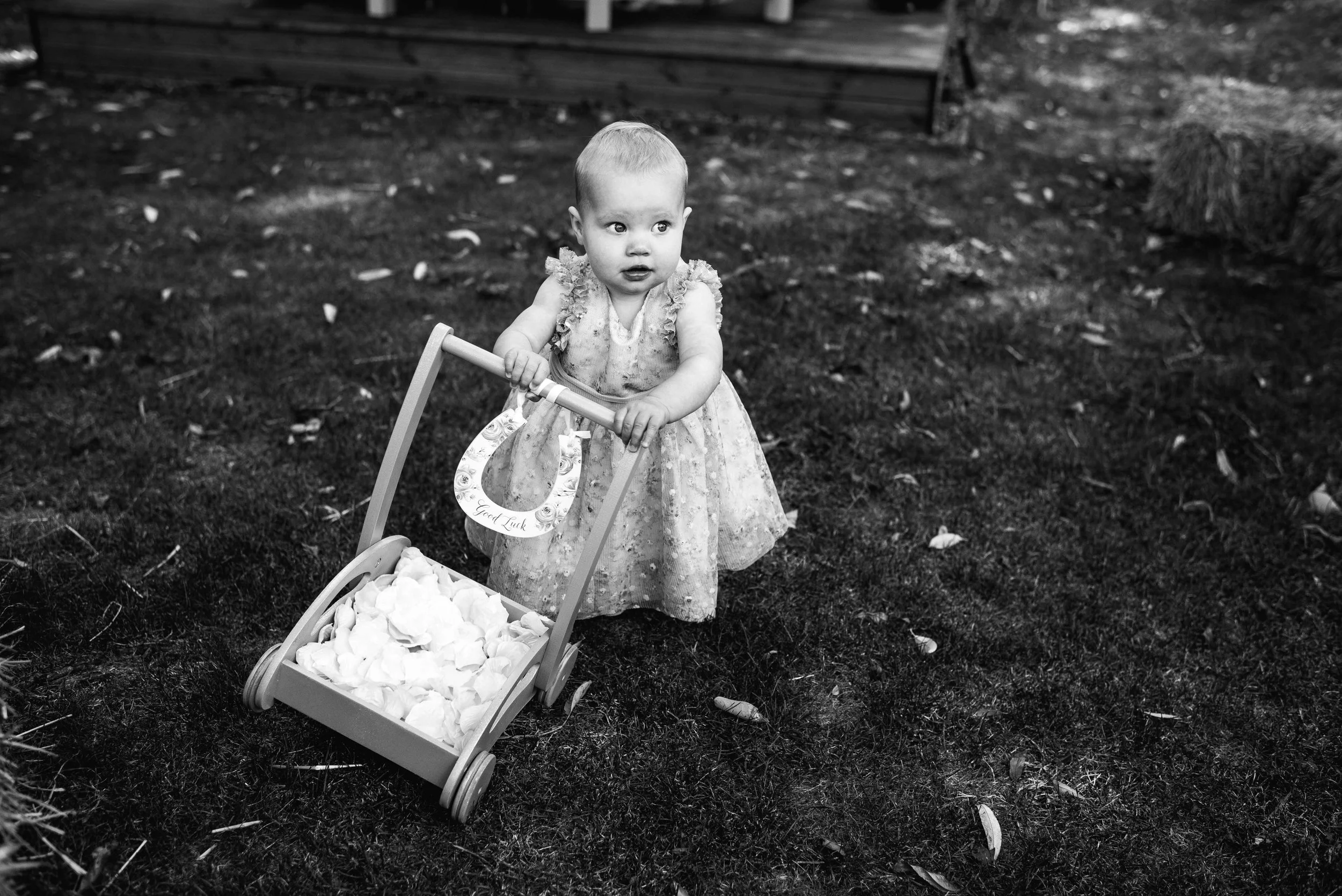 ©FoxMoonPhotography-73.jpg