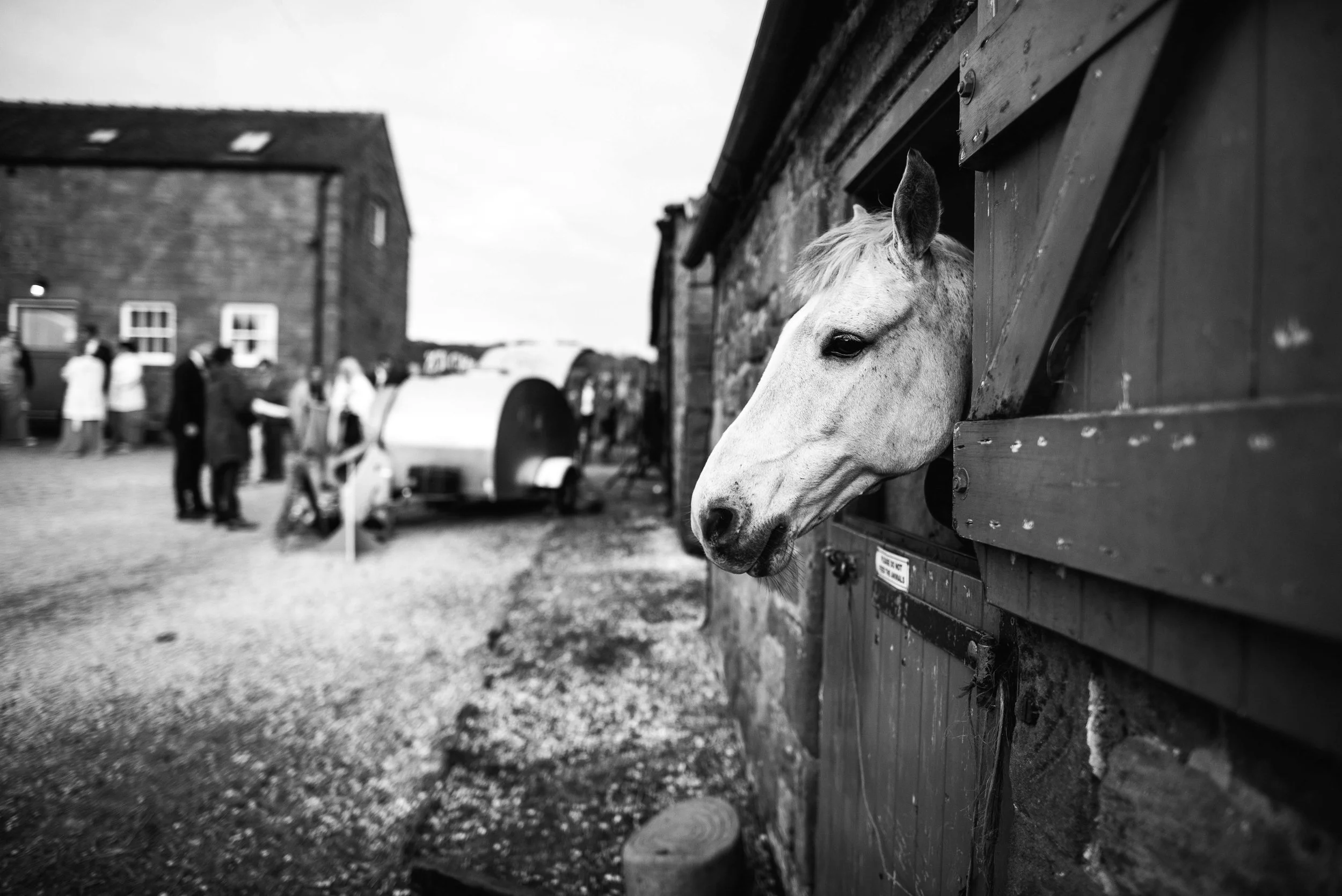 ©Foxmoonphotography-202.jpg