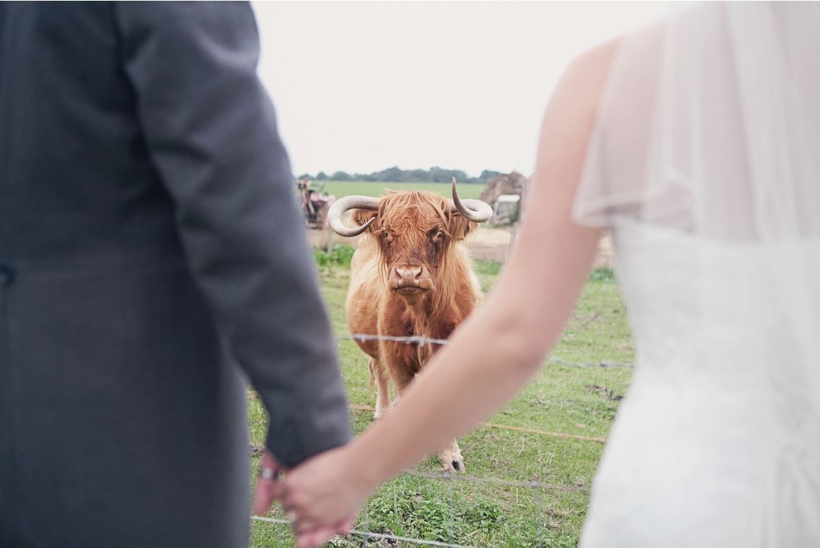 Jimmy's Farm Wedding