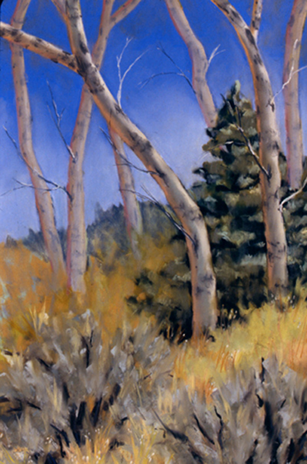 Big Hole Aspen Pastel Private Collection