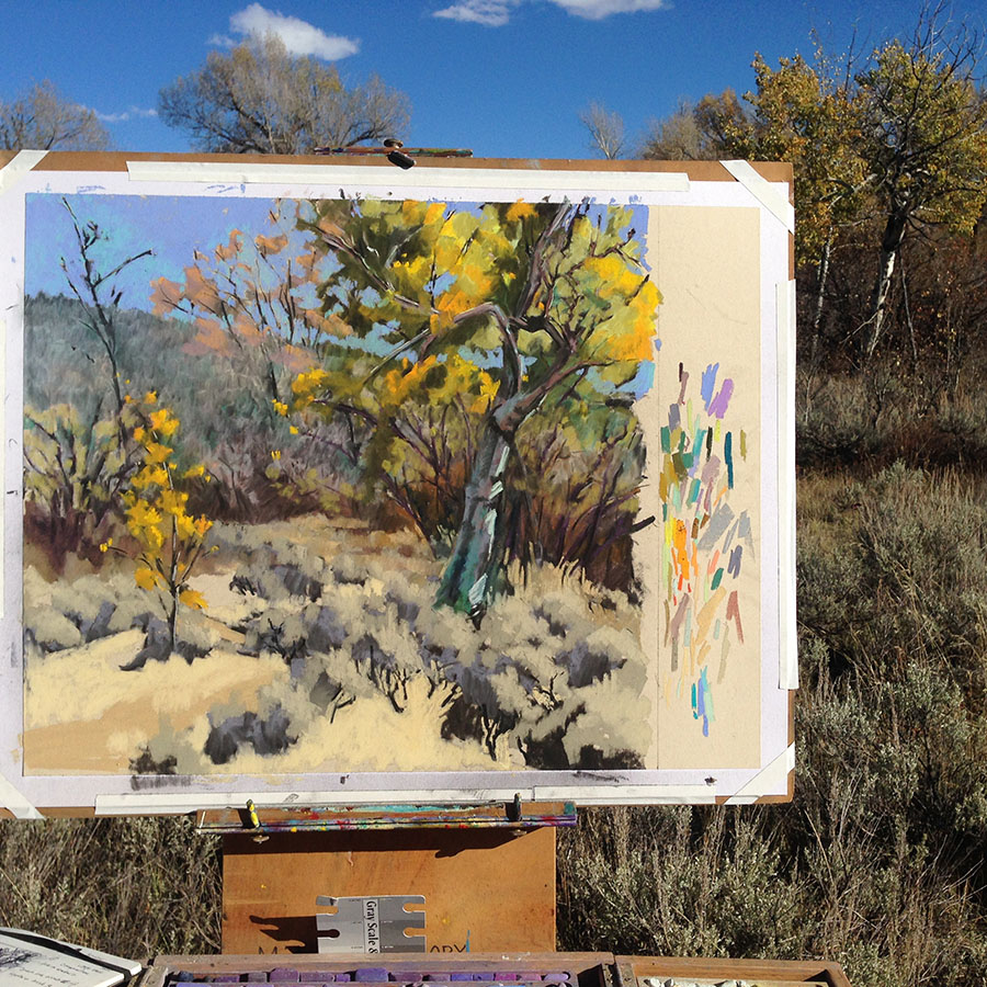 Fall Color Study Pastel 21x22