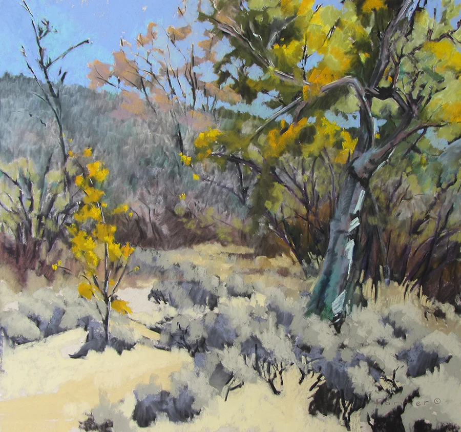 A Splash of Color Pastel Private Collection
