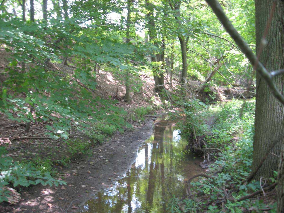 sycamore-kirby-tire-site-coaf_5937596952_o.jpg