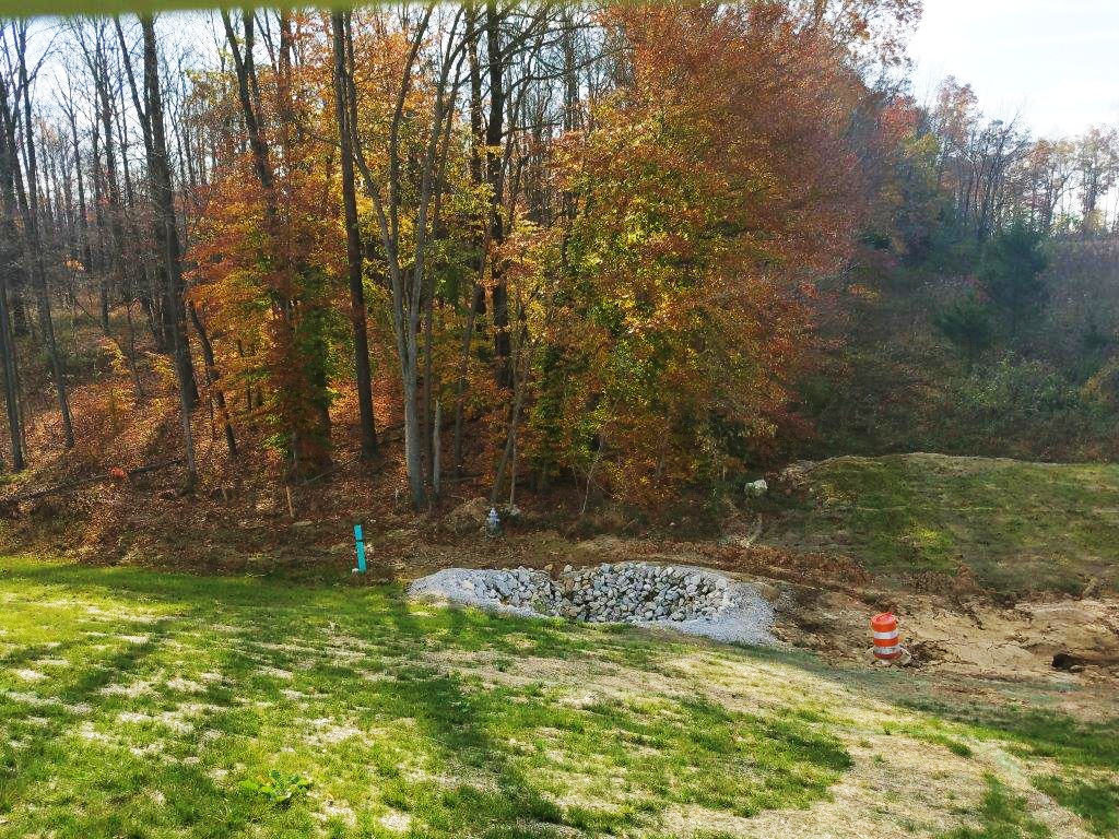 20161102_110436.jpg