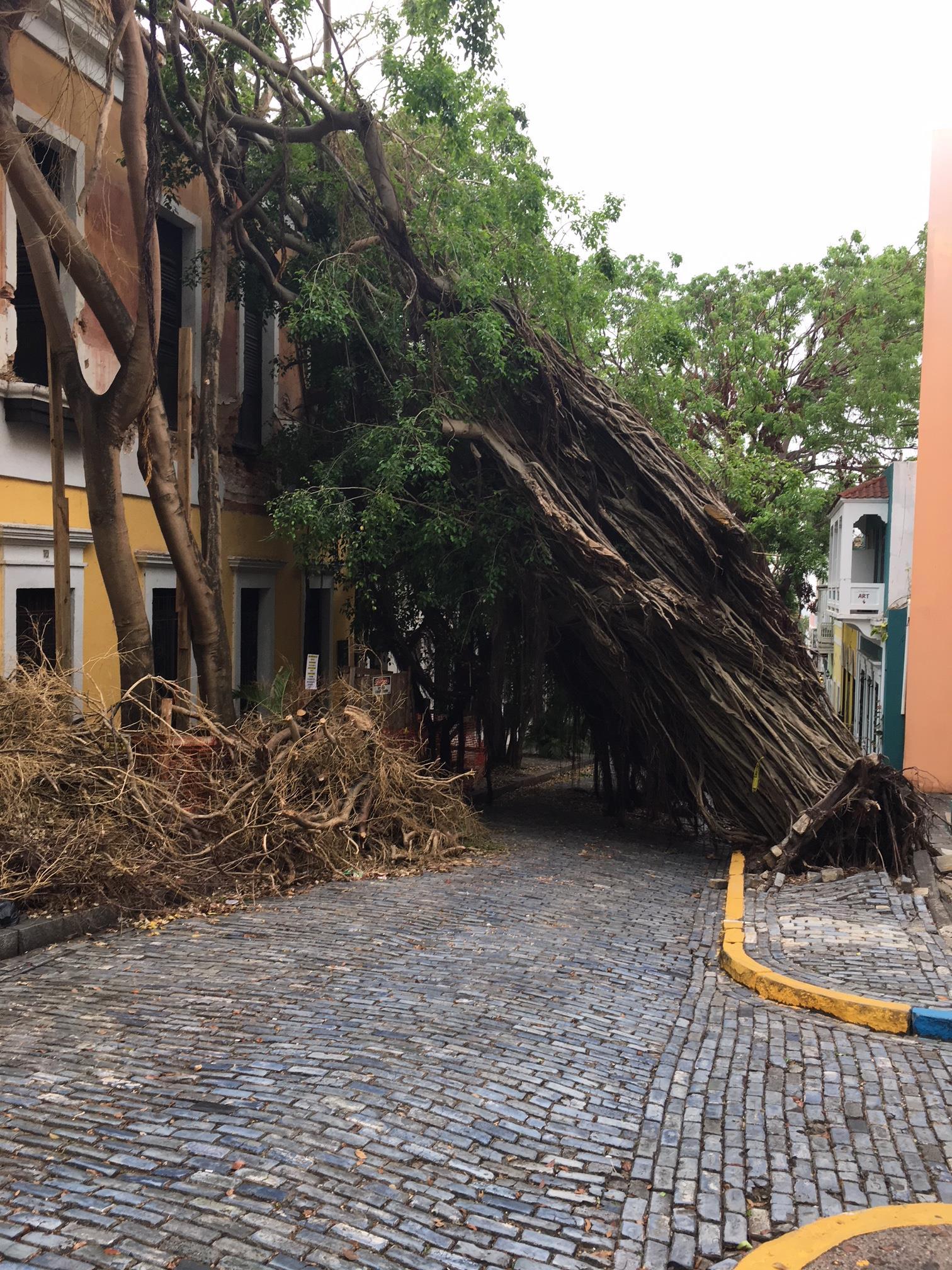  Puerto Rico Hurricane Disaster Recovery 