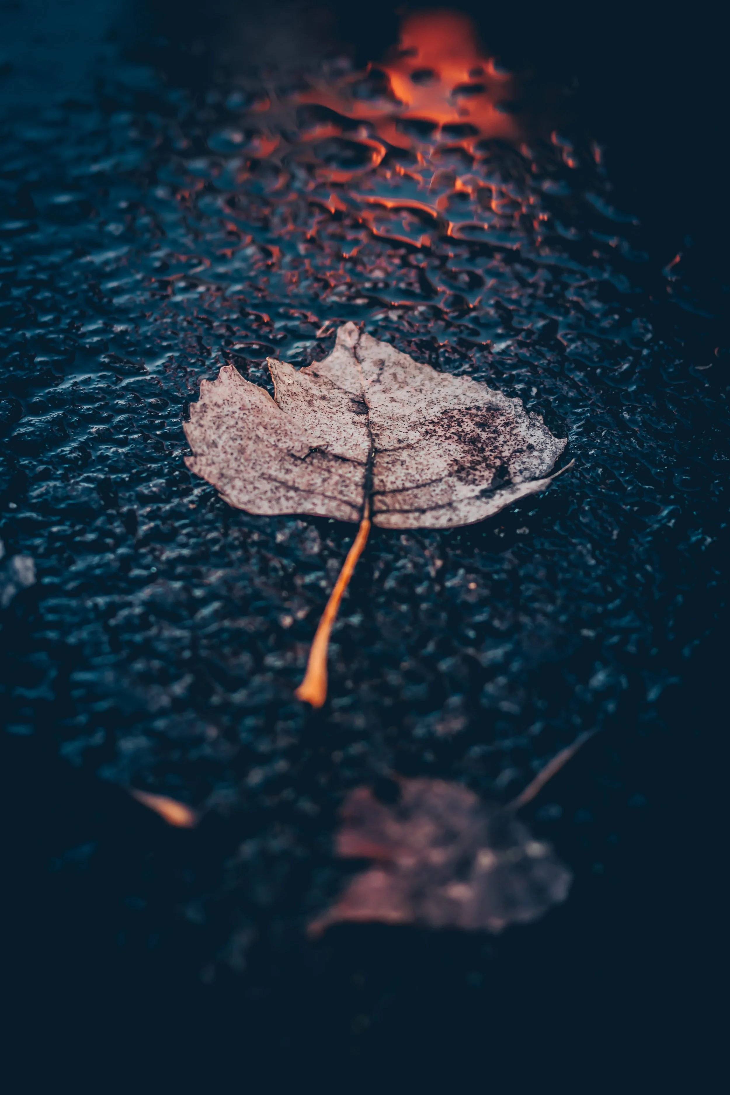 john-noonan-420156-unsplash.jpg